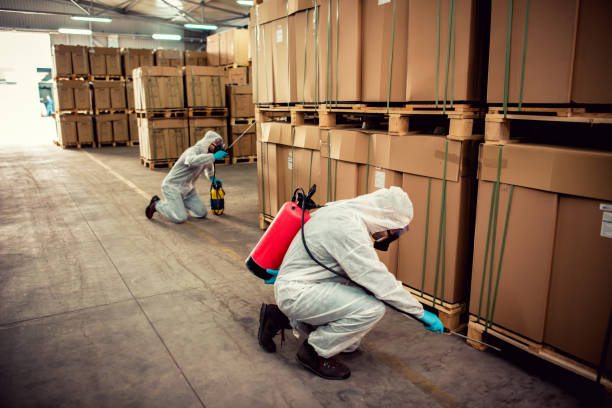 Best Affordable Pest Control Services  in Kirkland, IL