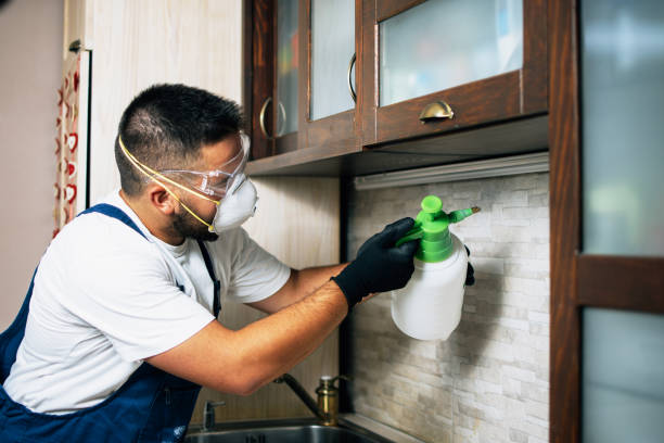 Best Emergency Pest Control  in Kirkland, IL