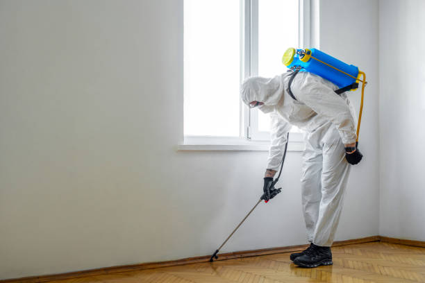 Wildlife Control Services in Kirkland, IL