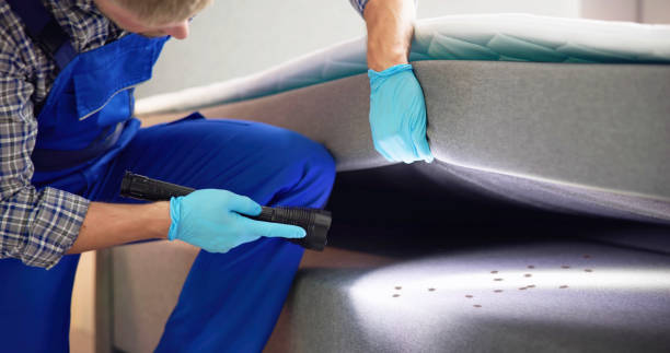 Best Best Pest Control Companies  in Kirkland, IL