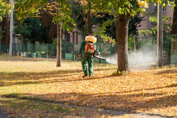 Best Cockroach Control Services  in Kirkland, IL
